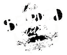 The Bearded Stitch